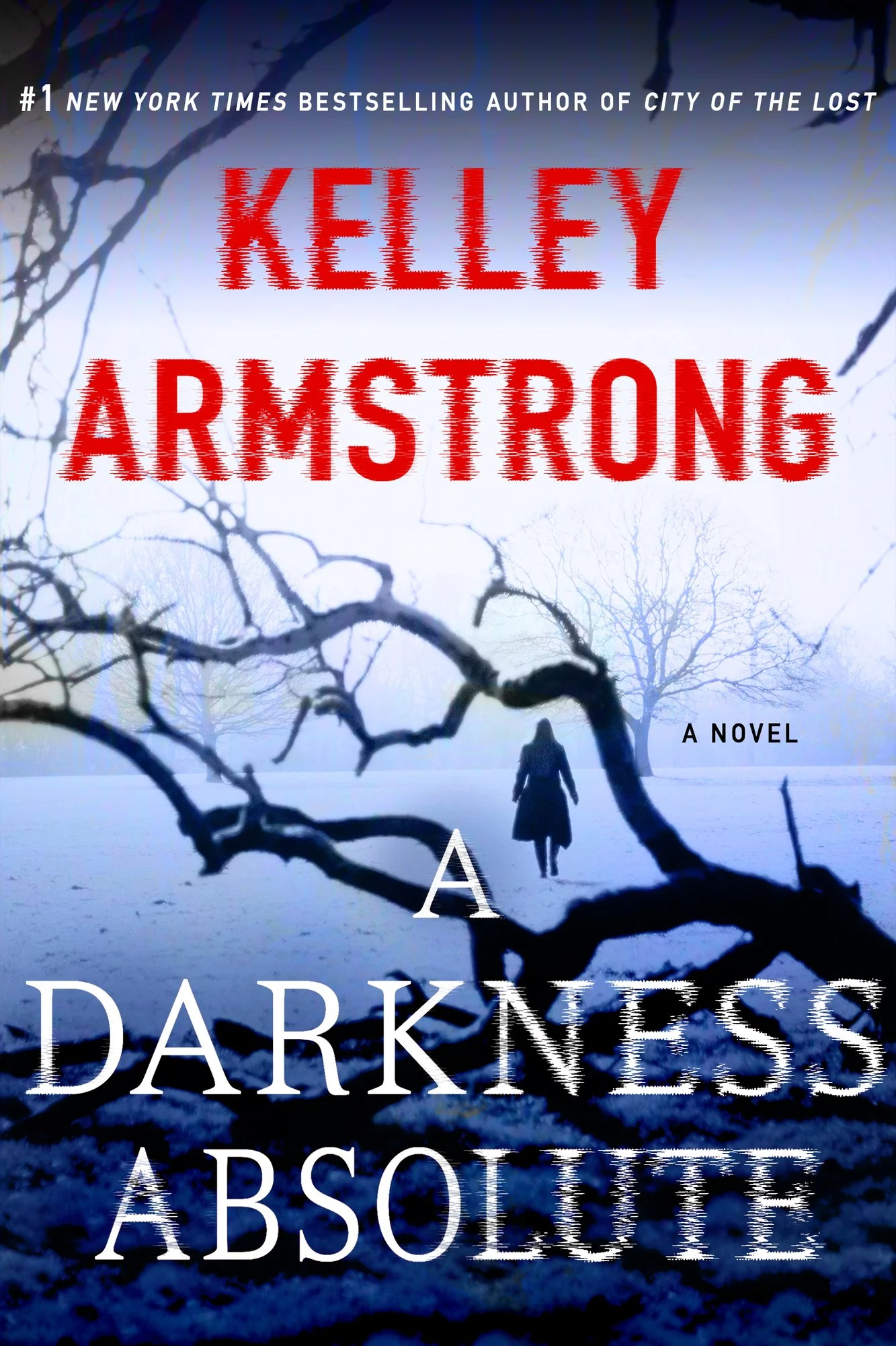 Cover of A Darkness Absolute