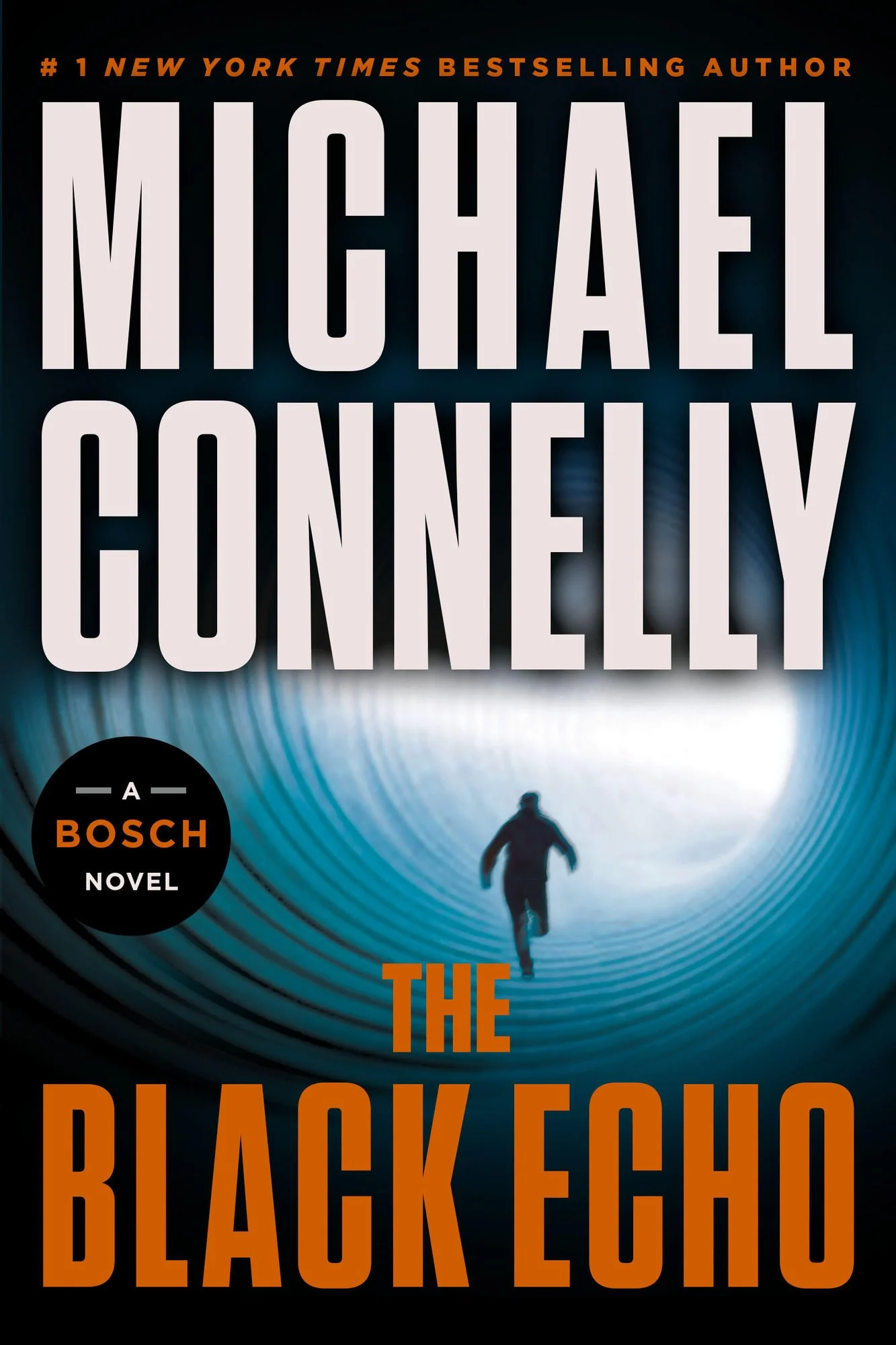 Cover of The Black Echo