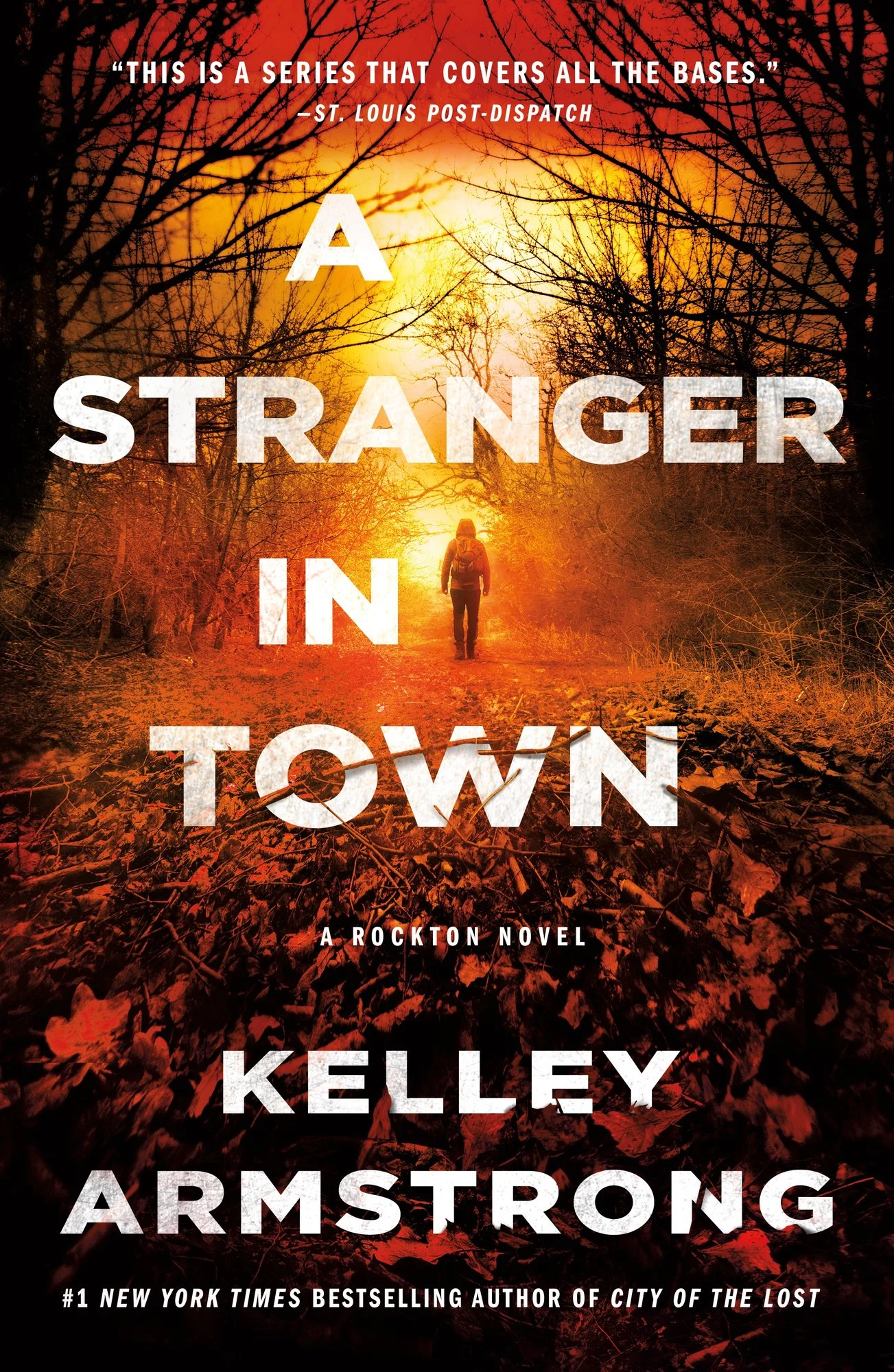 Cover of The Stranger in the Woods