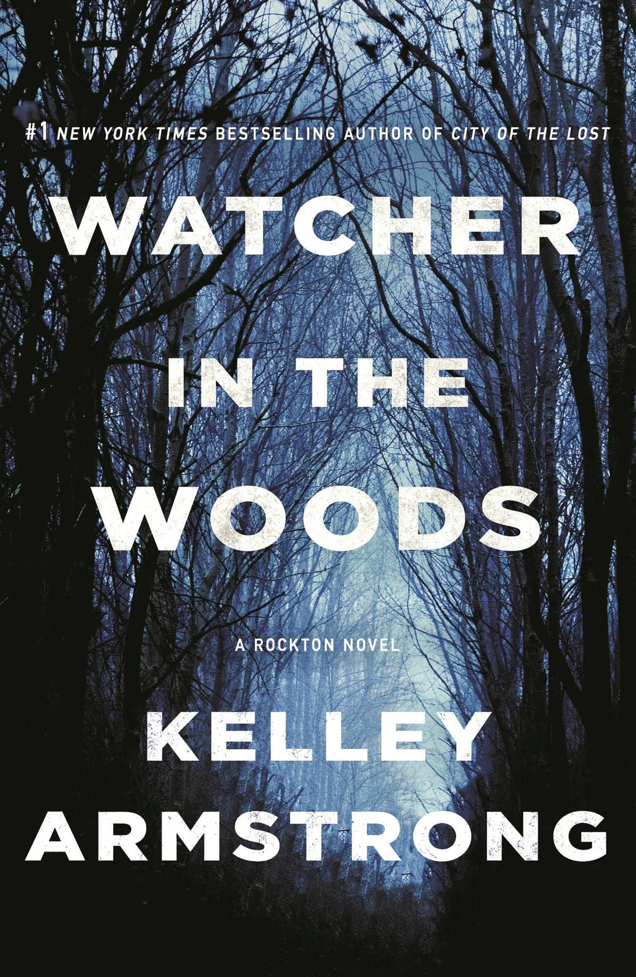 Cover of Watcher in the Woods