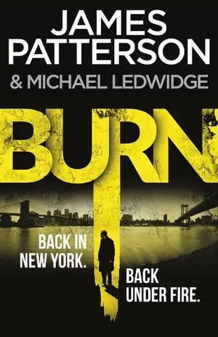 Cover of Burn