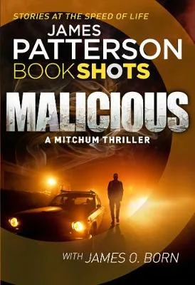 Cover of Malicious