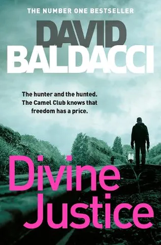 Cover of Divine Justice