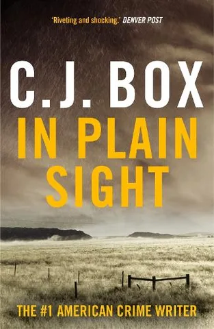 Cover of In Plain Sight
